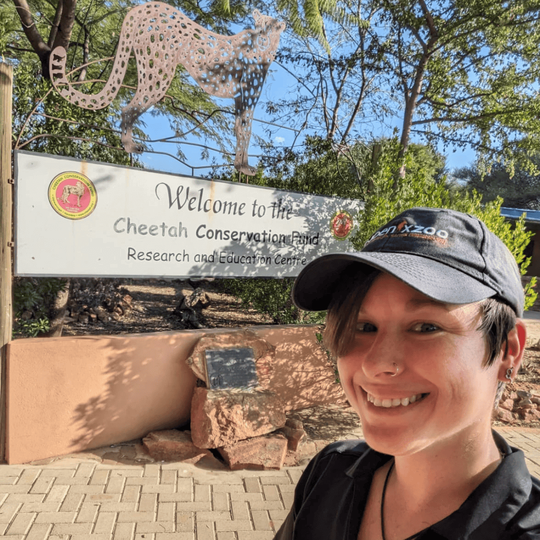Cheetah Conservation Fund